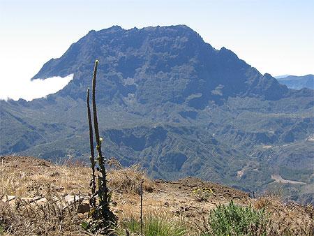 Piton des neiges