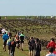 Trail-du-vignoble-2012-2.jpg